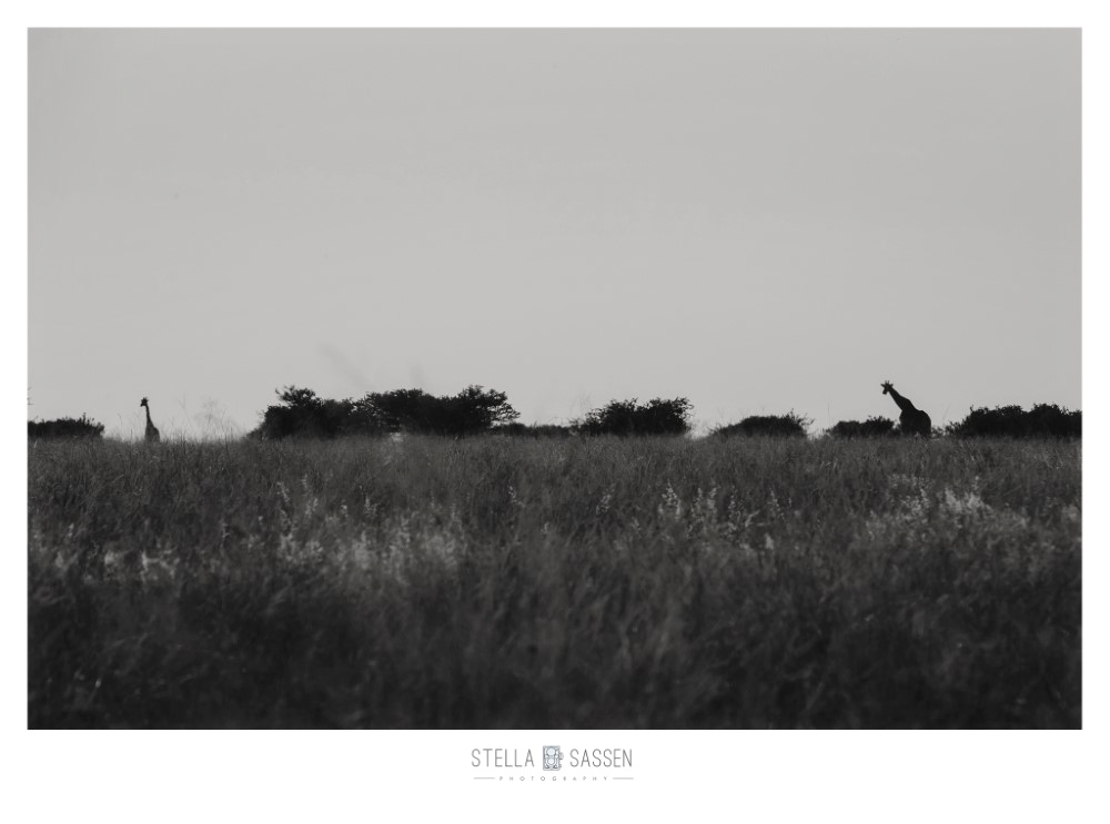 cape town top wedding photographer bush 02