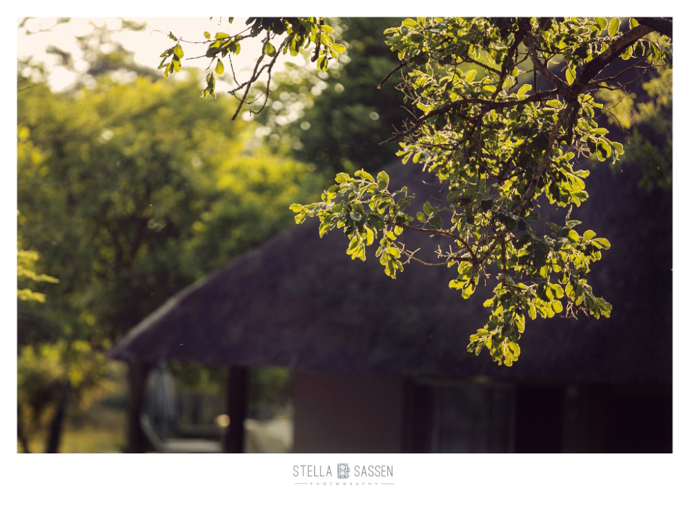 cape town top wedding photographer bush 03