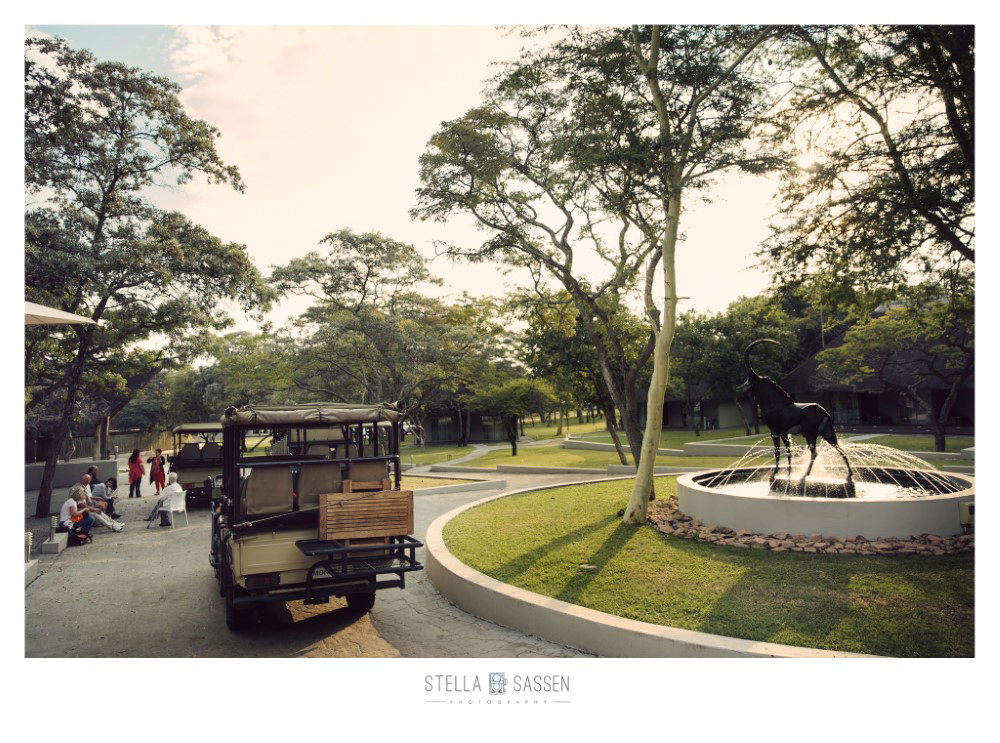 cape town top wedding photographer bush 04