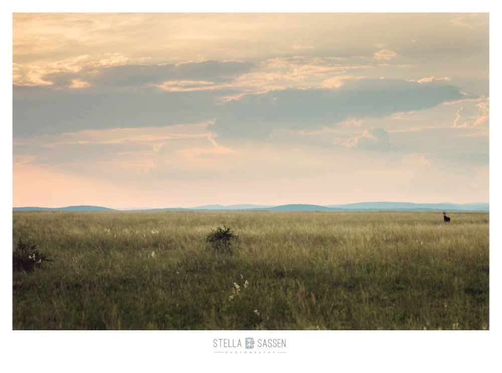 cape town top wedding photographer bush 07