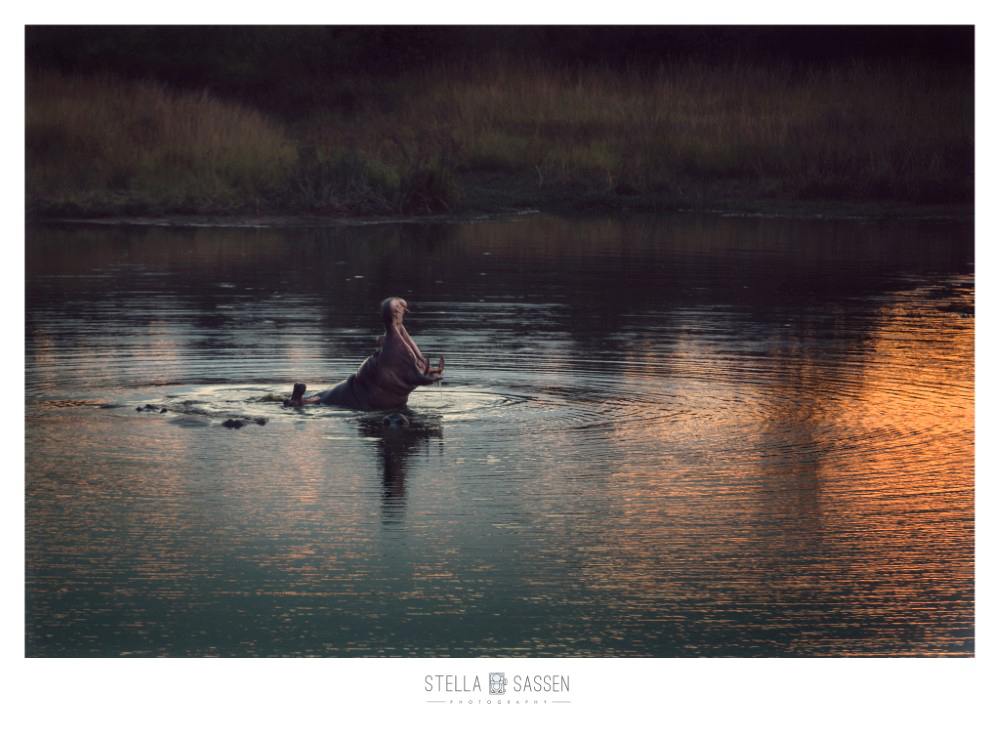 cape town top wedding photographer bush 10