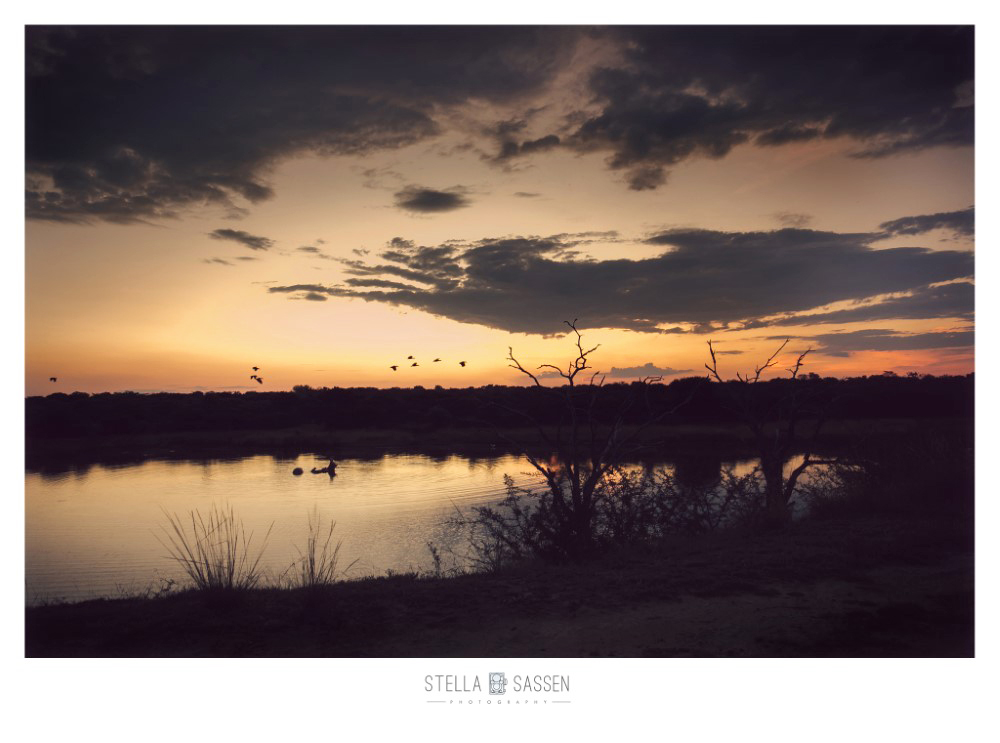 cape town top wedding photographer bush 13