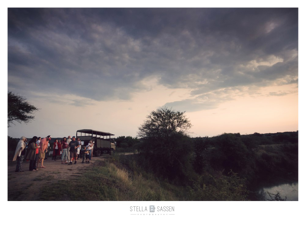 cape town top wedding photographer bush 14