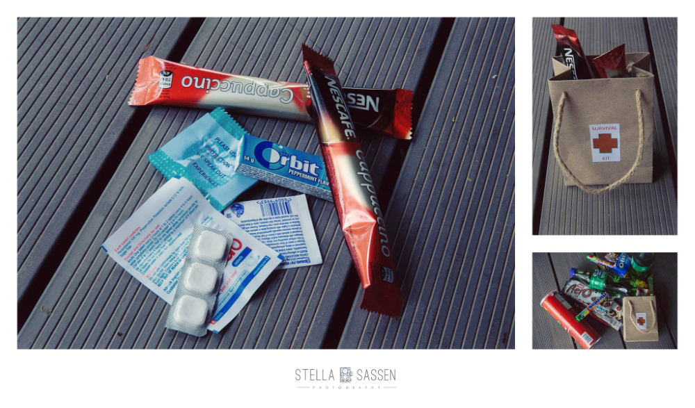 cape town top wedding photographer bush 16