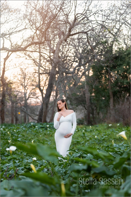 outdoor maternity shoot cape town 10