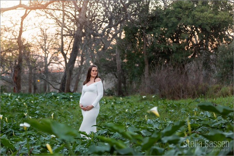 outdoor maternity shoot cape town 20