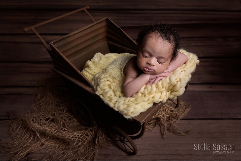 20241012 studio newborn prop photography 02