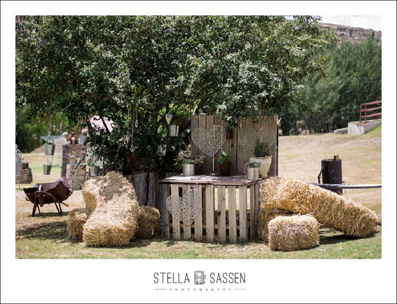 cape town farm wedding photos 005