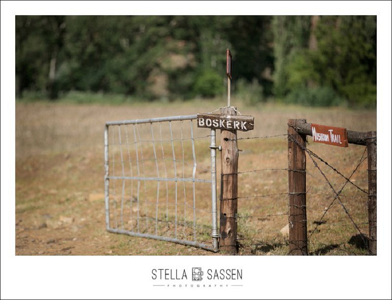 cape town farm wedding photos 022
