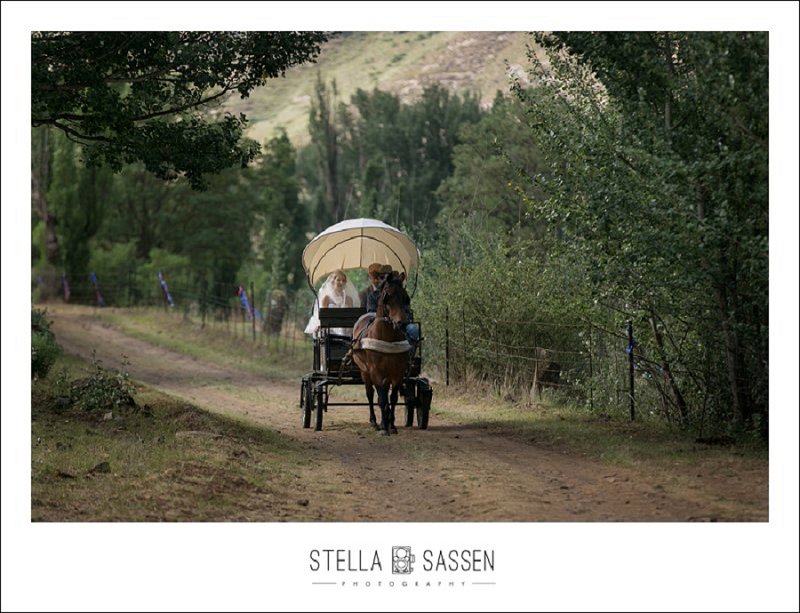 cape town farm wedding photos 031