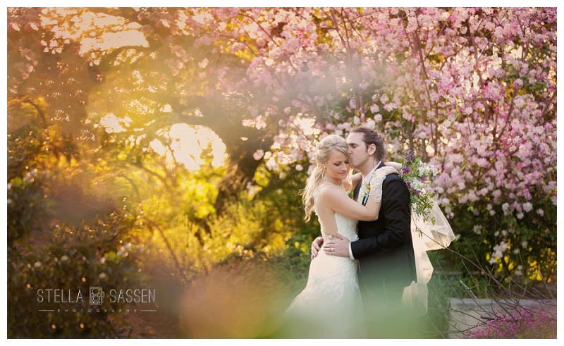 0080 wedding photographers cape town