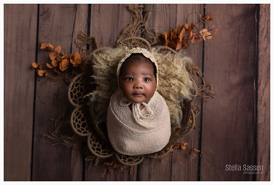 Newborn photo of baby in a basket wrapped with foilage at newborn shoot