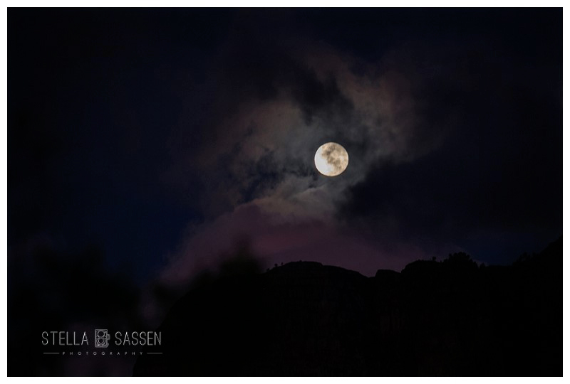 cape winelands franschhoek wedding photographer 118