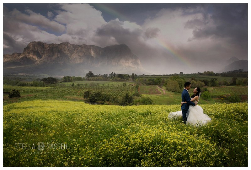 A bride and groom embracing in a field of yellow canola flowers at a Franschhoek wine estate, a dramatic rainbow arching over the mountains behind them after a storm.