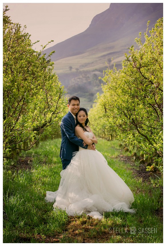 cape winelands franschhoek wedding photographer 65