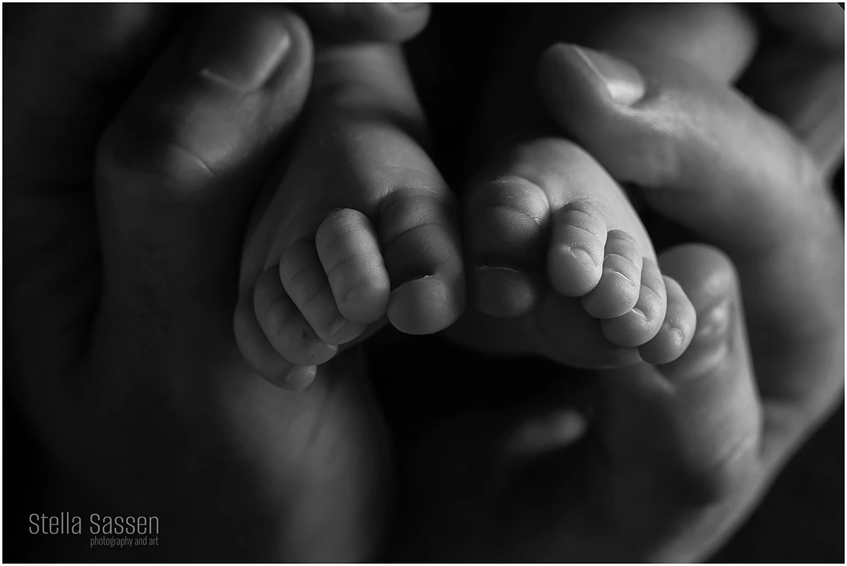 cape town newborn maternity photographer 12